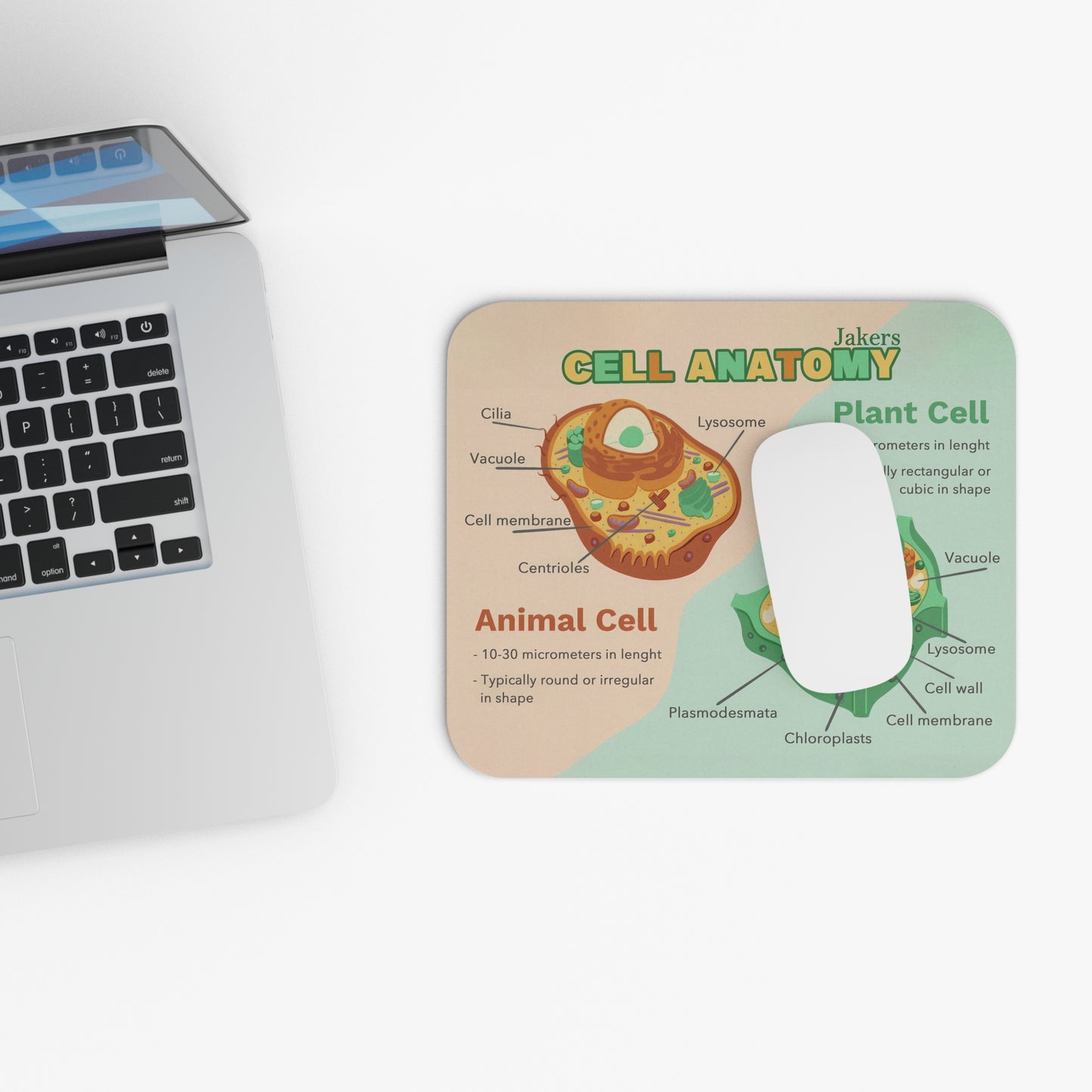Educational Mouse Pad, Animal Cell vs Plant Cell Anatomy