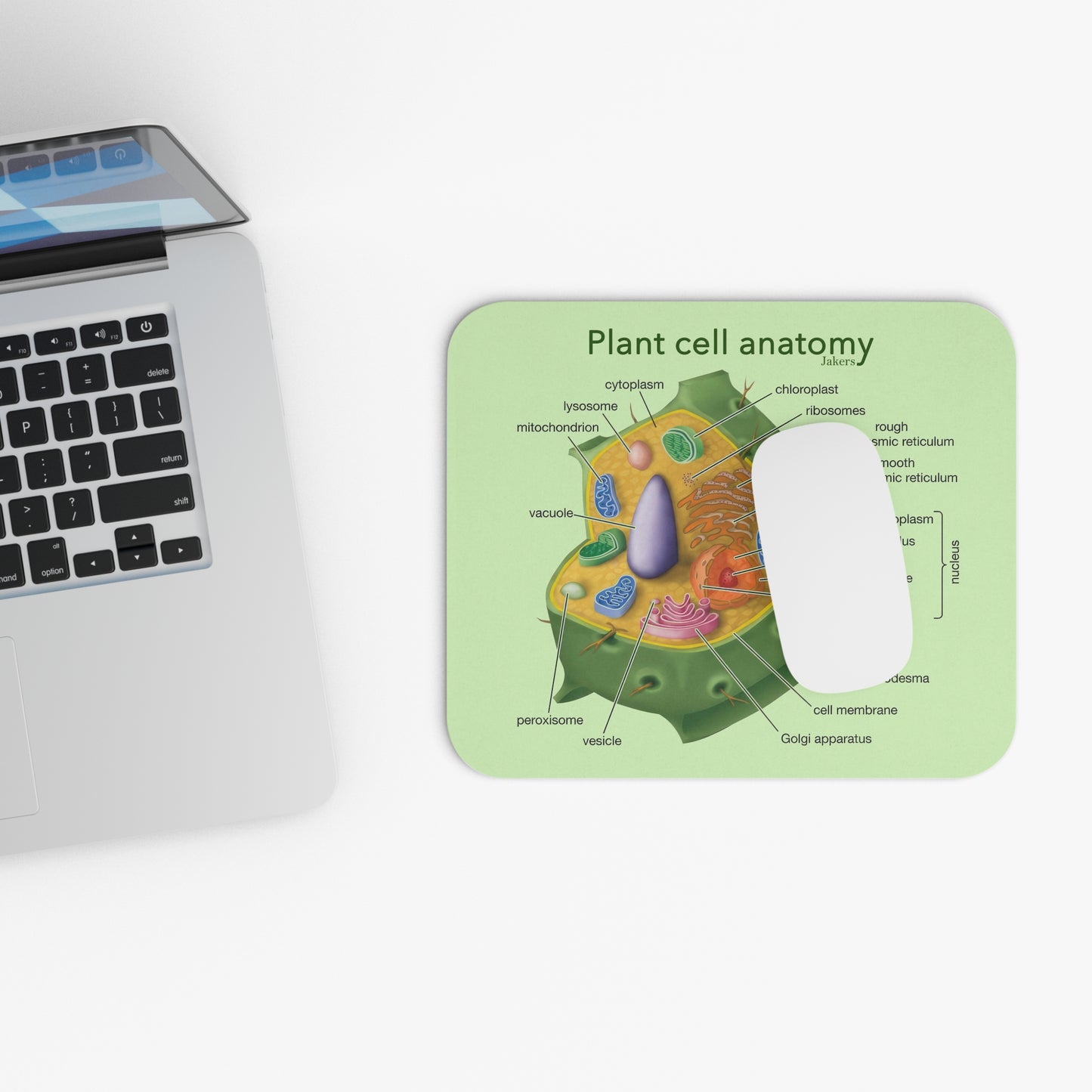 Plant Cell Anatomy Mouse Pad, Educational School Supply