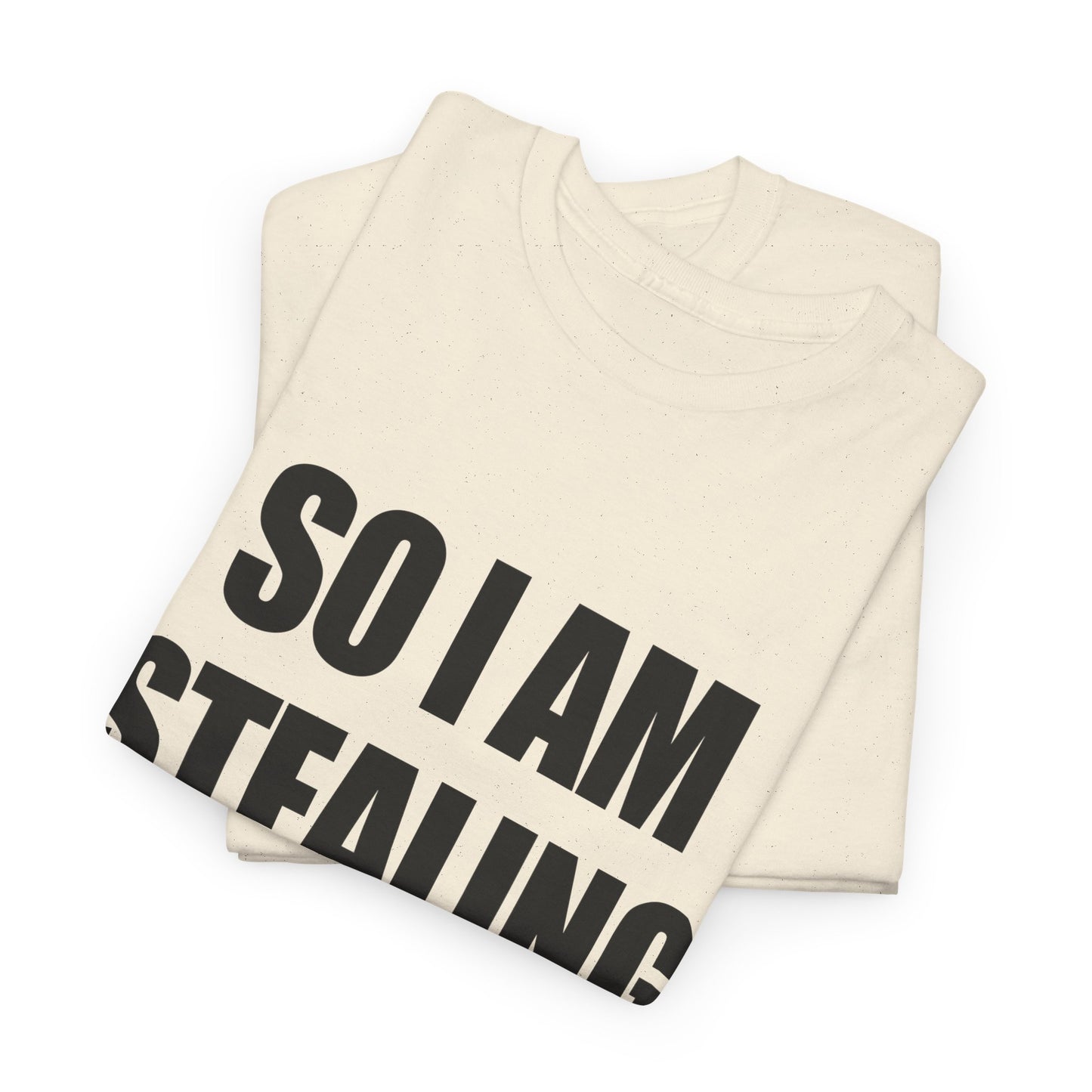 So I Am Stealing His, Valentine Tee for Couples, B Part