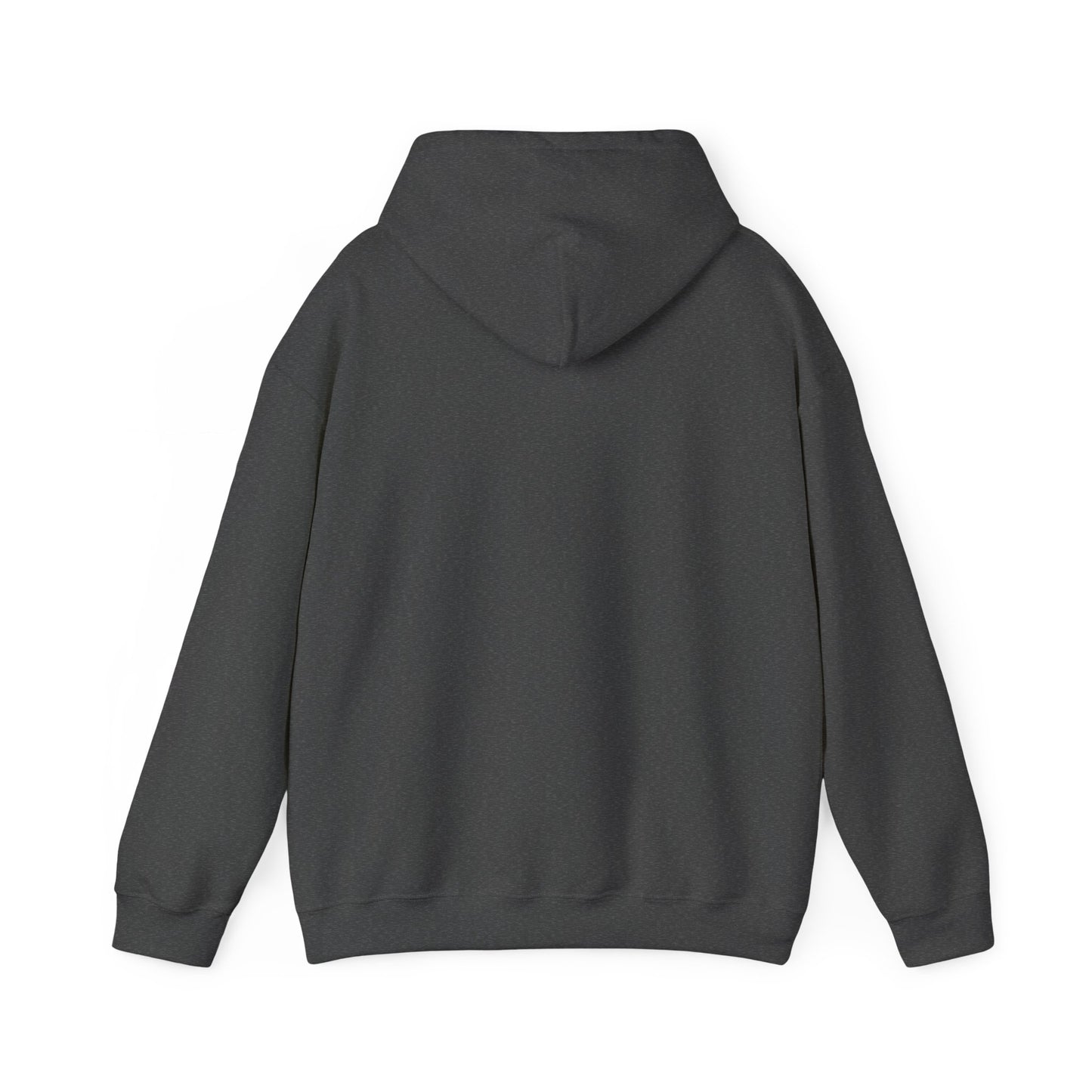 Texas Hooded Sweatshirt