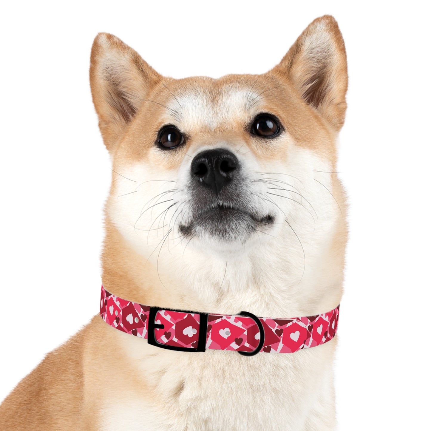 Love in Style Dog Collar