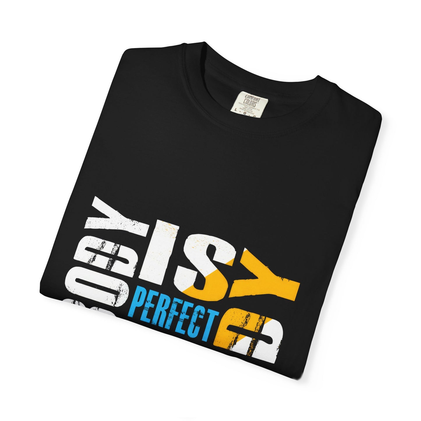 Nobody is Perfect Humorous Tee - Unisex Garment-Dyed T-Shirt