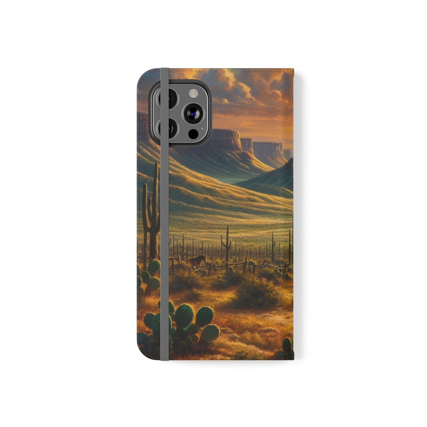 Texas Sunset Flip Cases