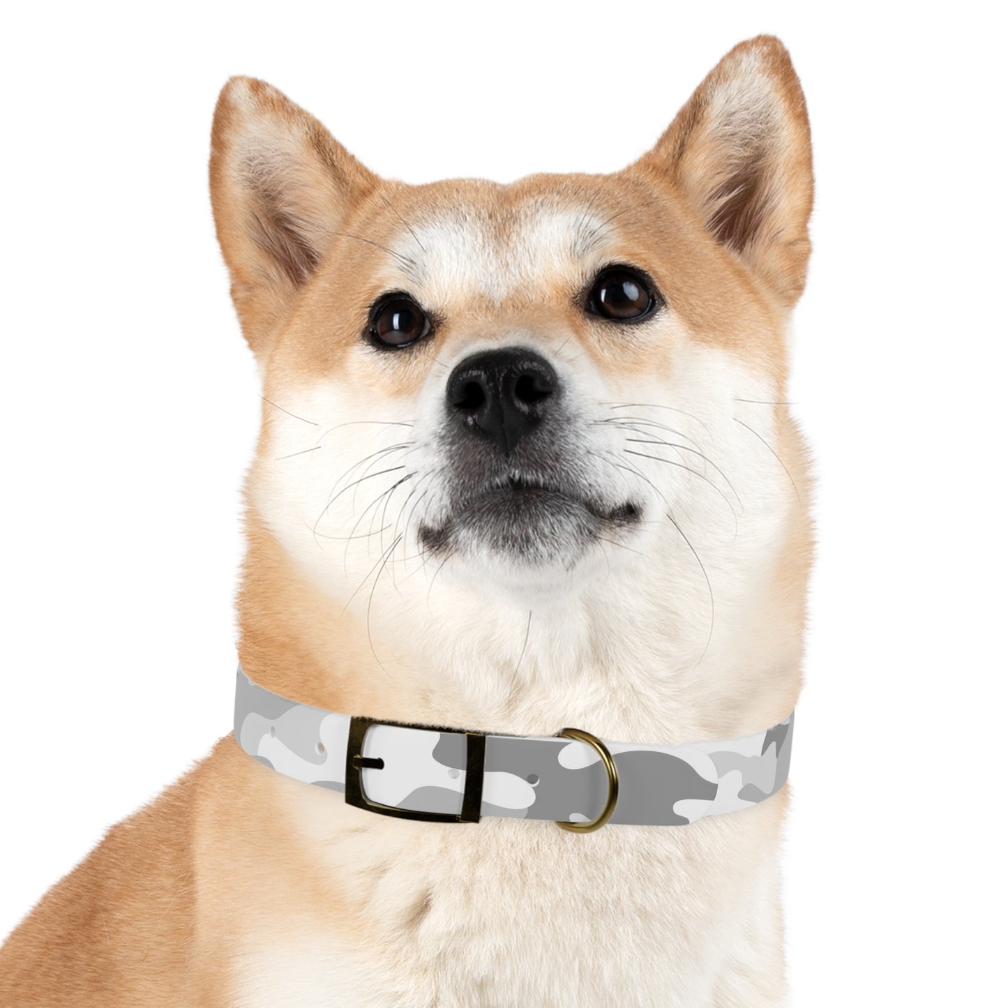 Snow Shadow Dog Collar