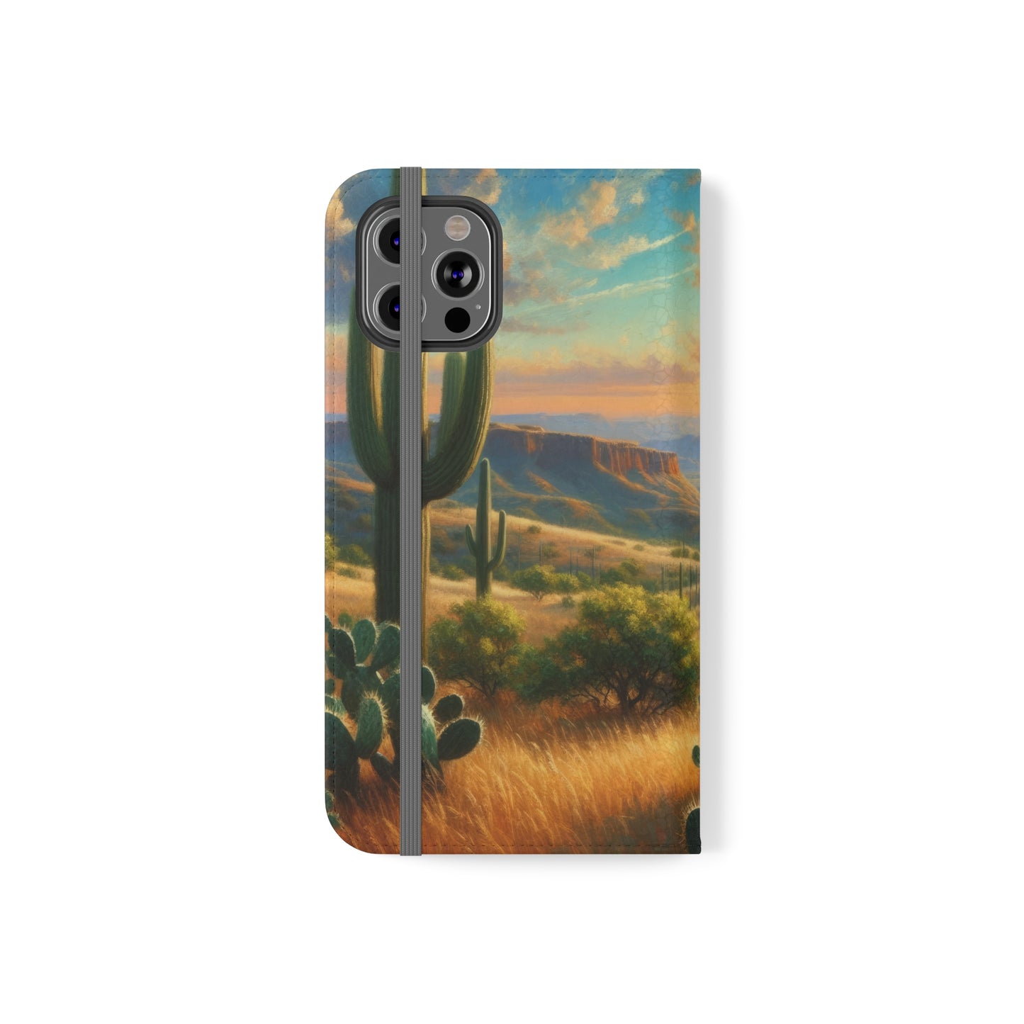 Texas Horizon Flip Cases