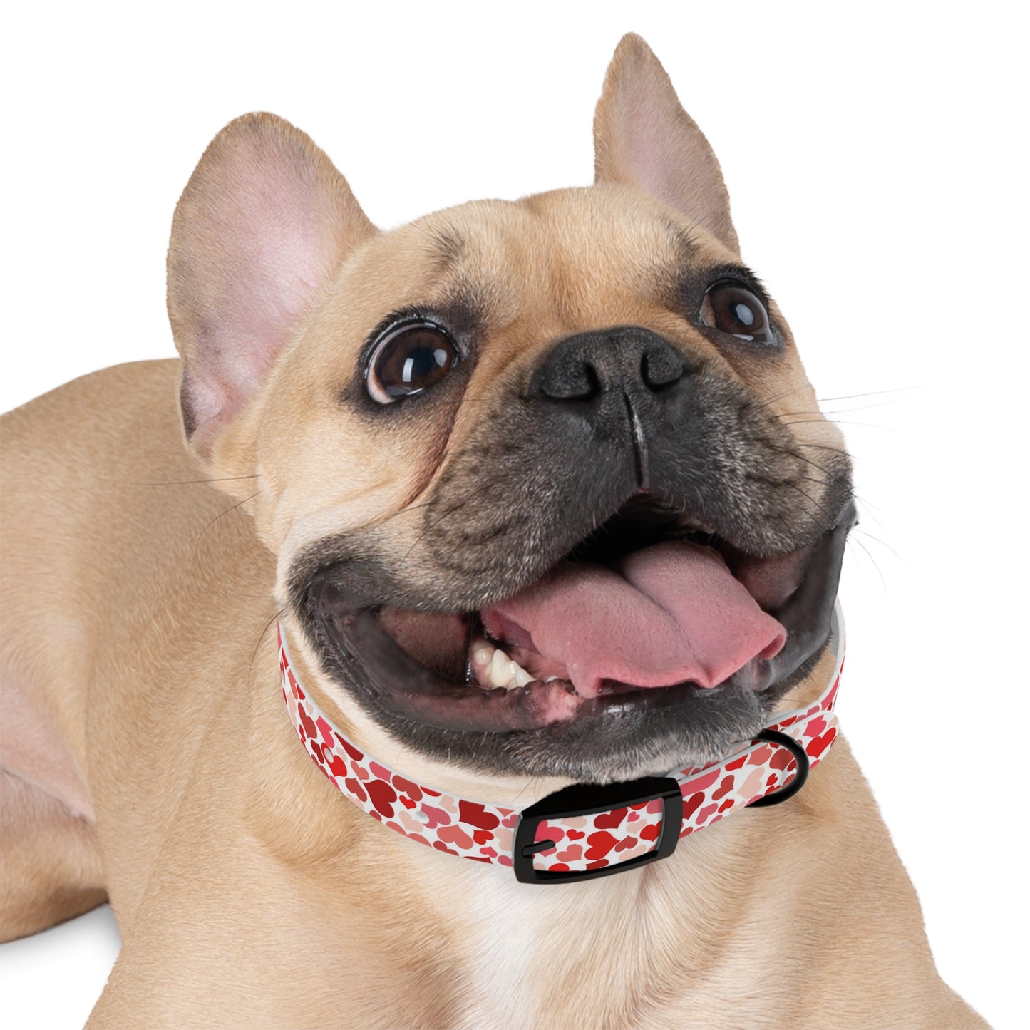 Retro Romance  Dog Collar