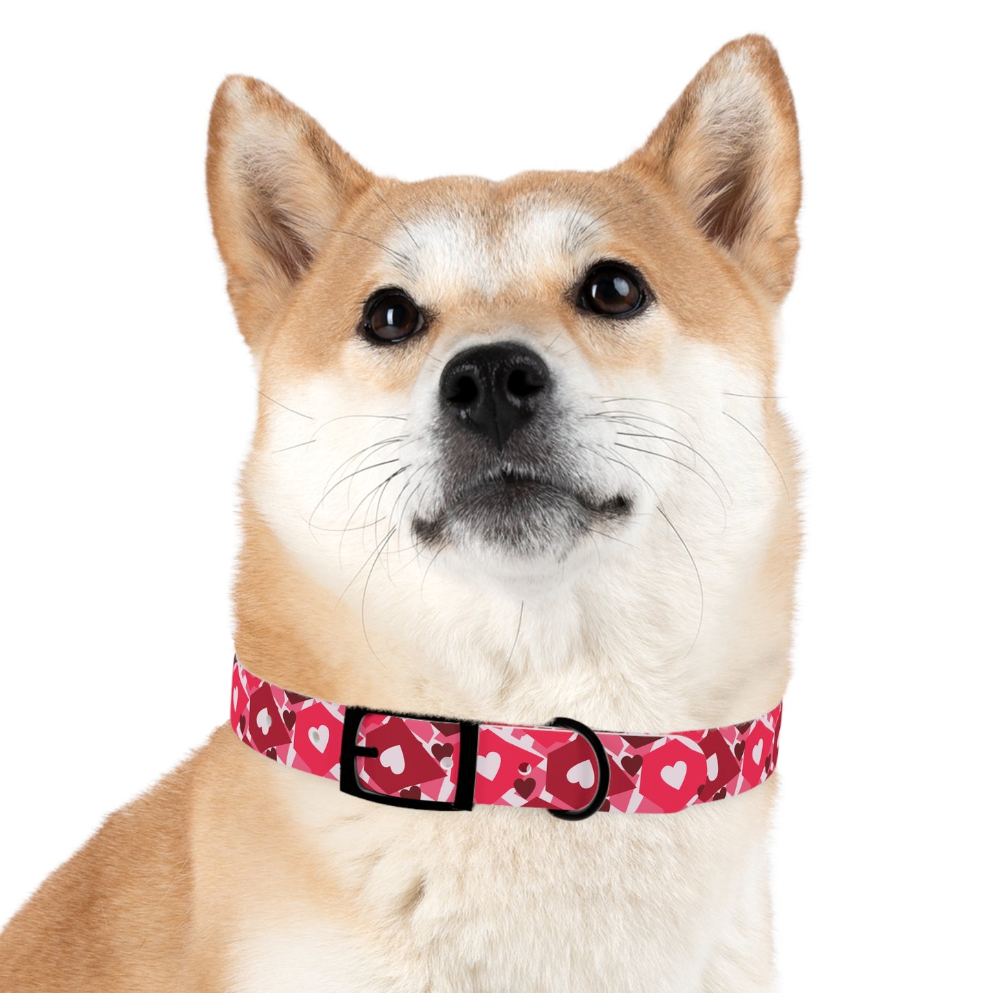 Love in Style Dog Collar