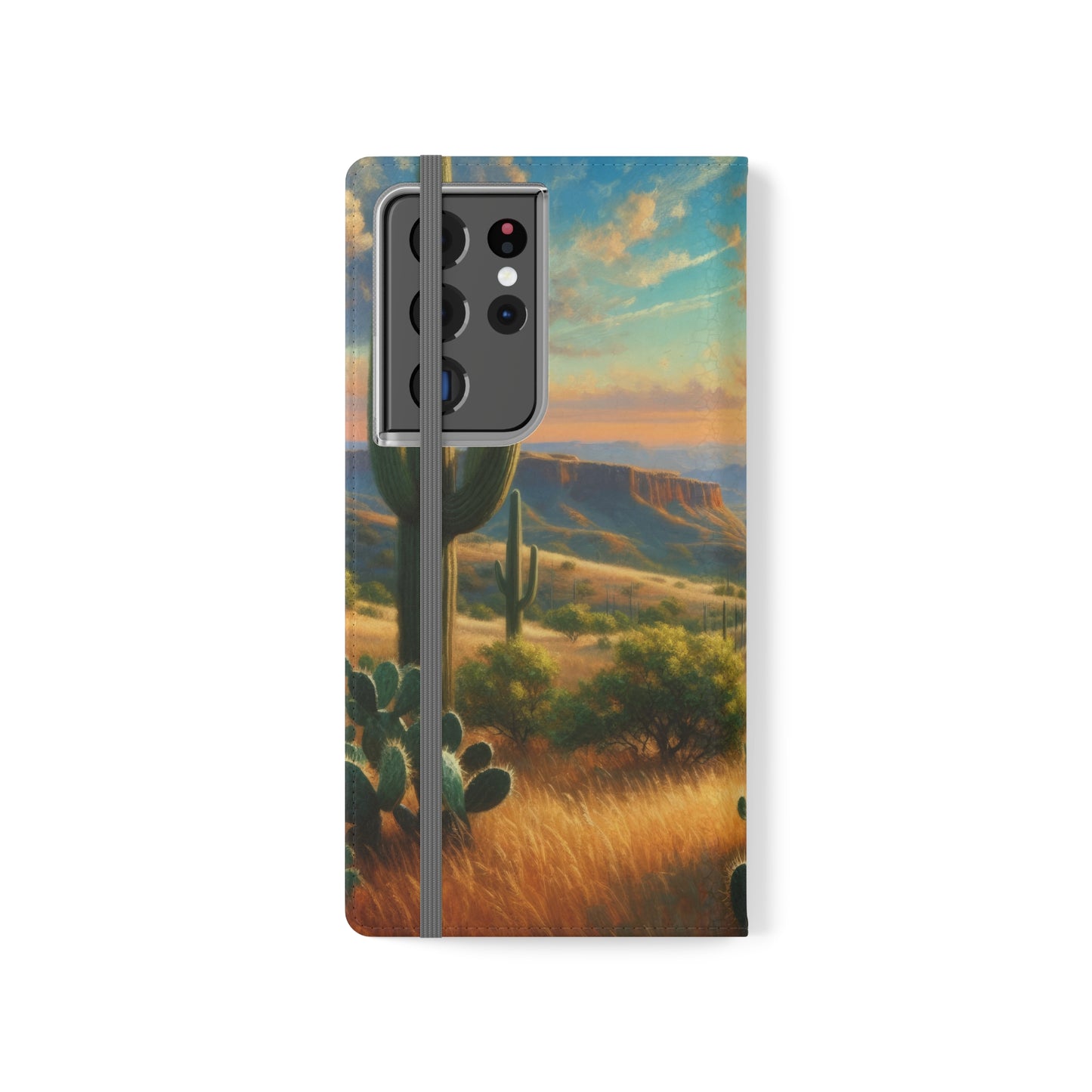 Texas Horizon Flip Cases