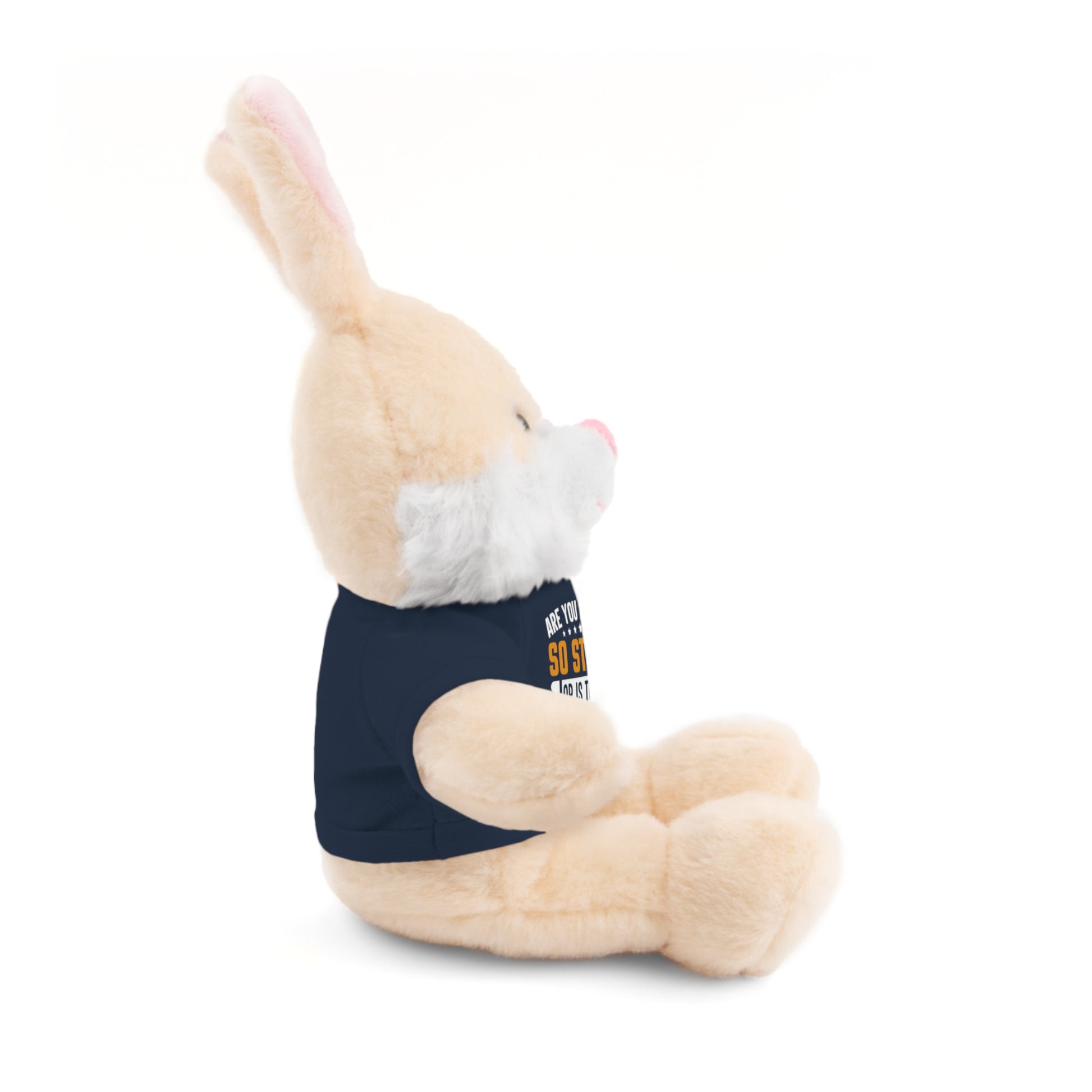 Adorable Stuffed Animal with Tee, Are You Always So Stupid