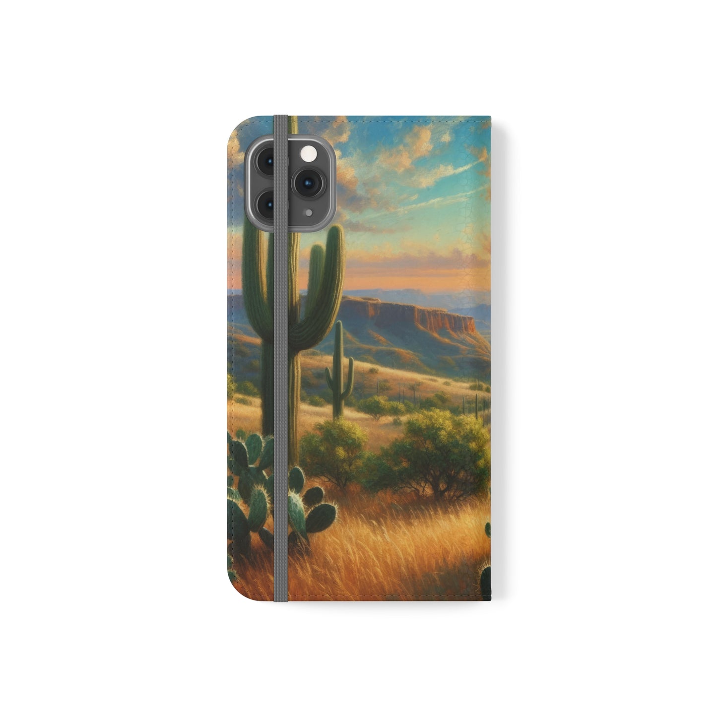 Texas Horizon Flip Cases