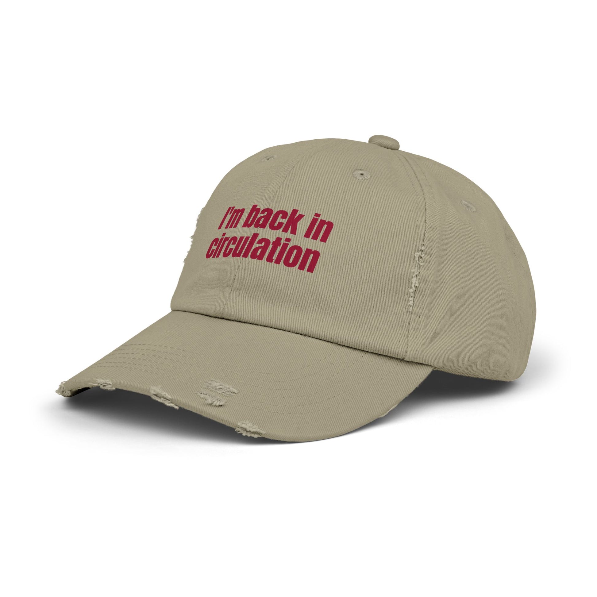 I'm Back In Circulation Unisex Distressed Cap