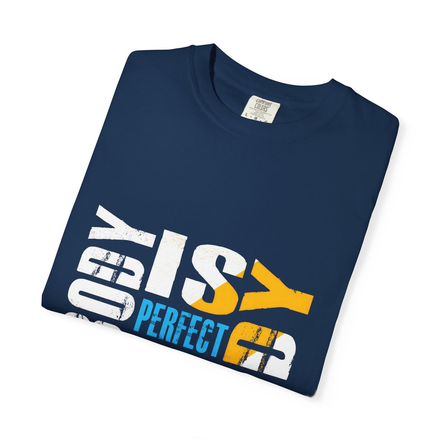 Nobody is Perfect Humorous Tee - Unisex Garment-Dyed T-Shirt