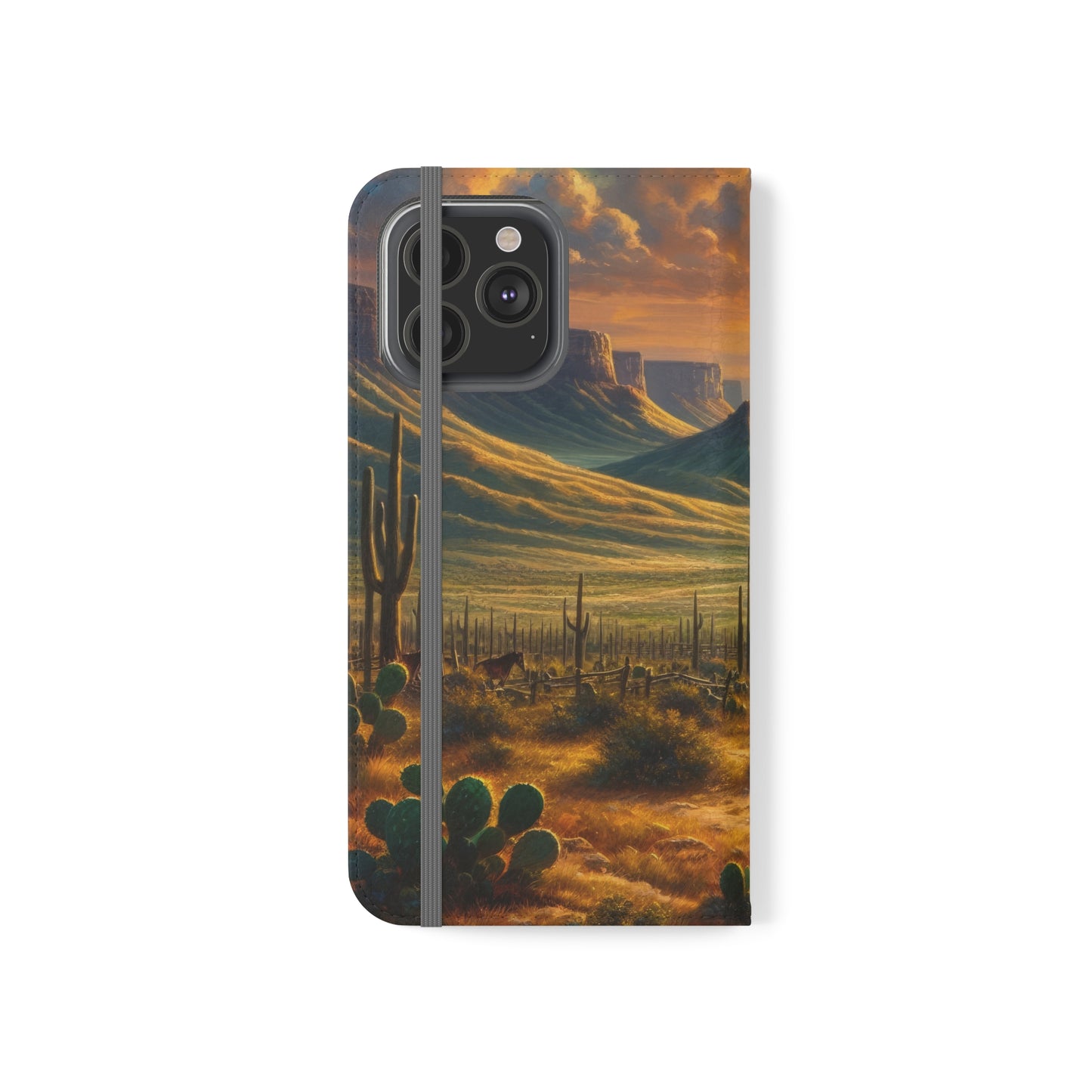 Texas Sunset Flip Cases