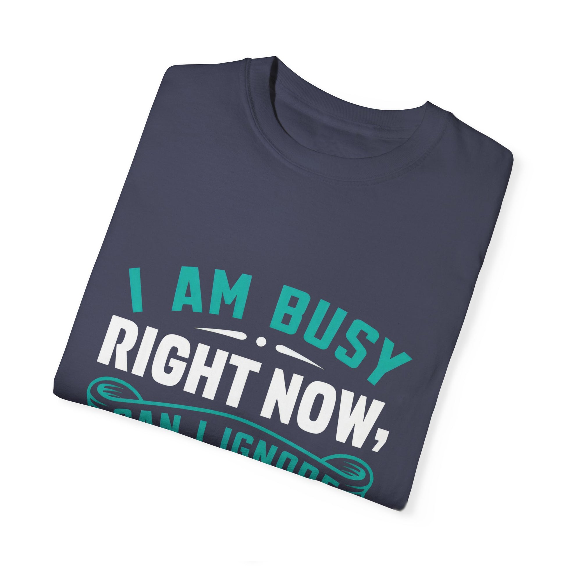 Funny Unisex T-Shirt - 'I Am Busy Right Now, Can I Ignore You Some Other Time?'