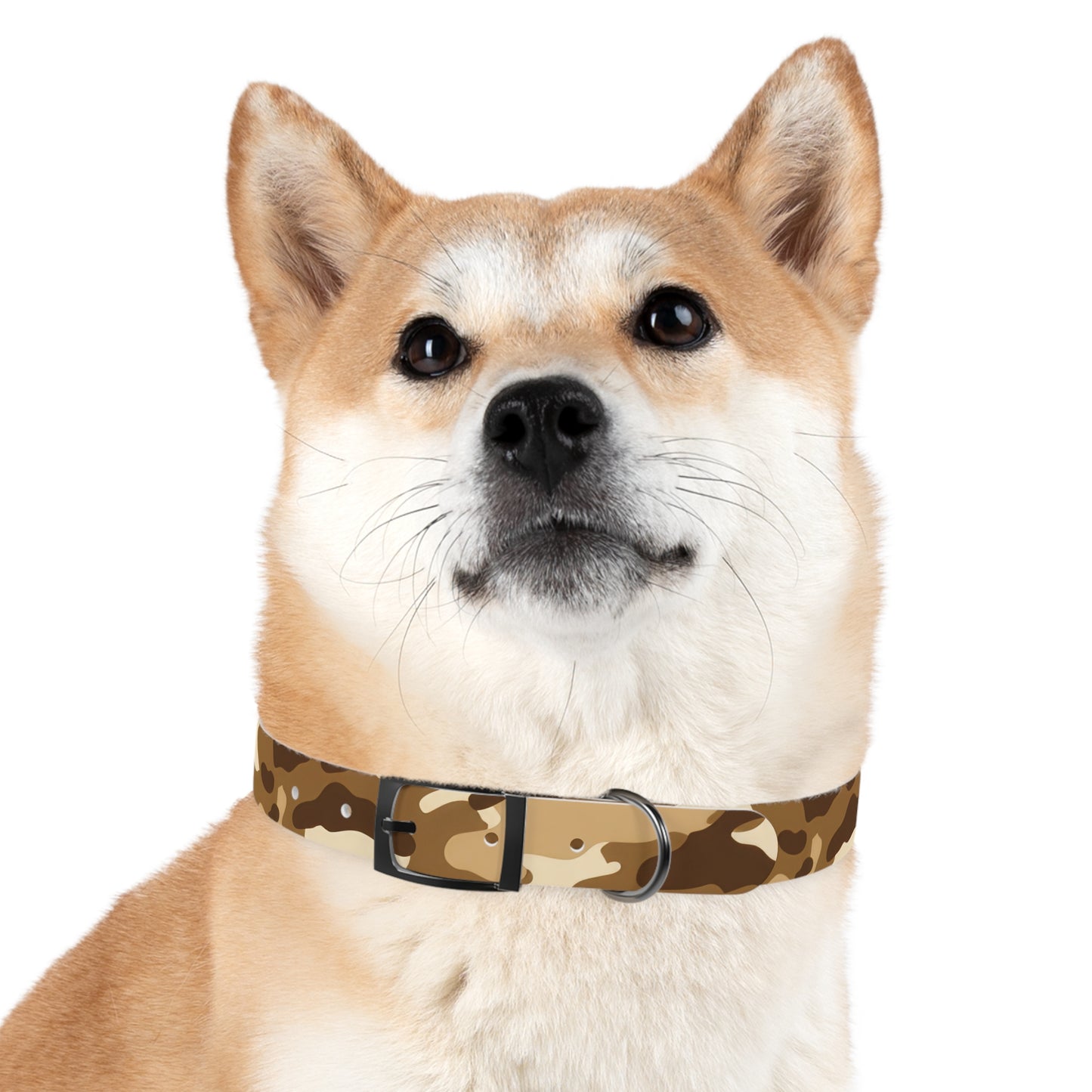 Sandstorm Dog Collar