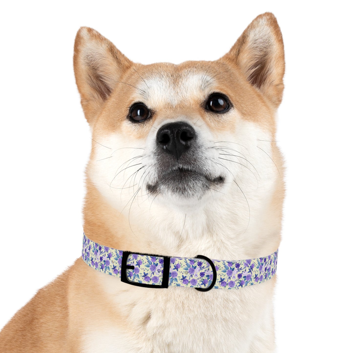 Violet Dog Collar