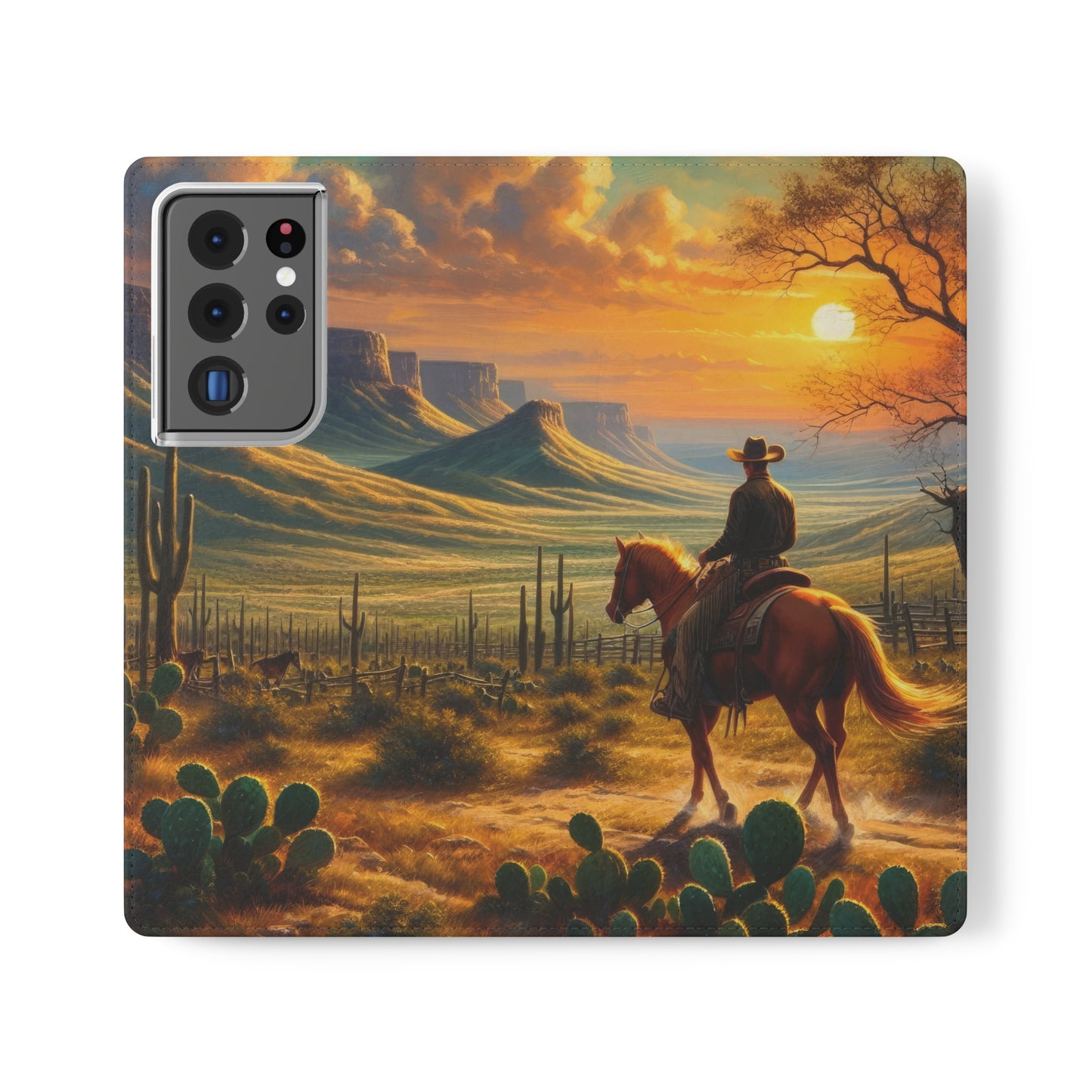 Texas Sunset Flip Cases