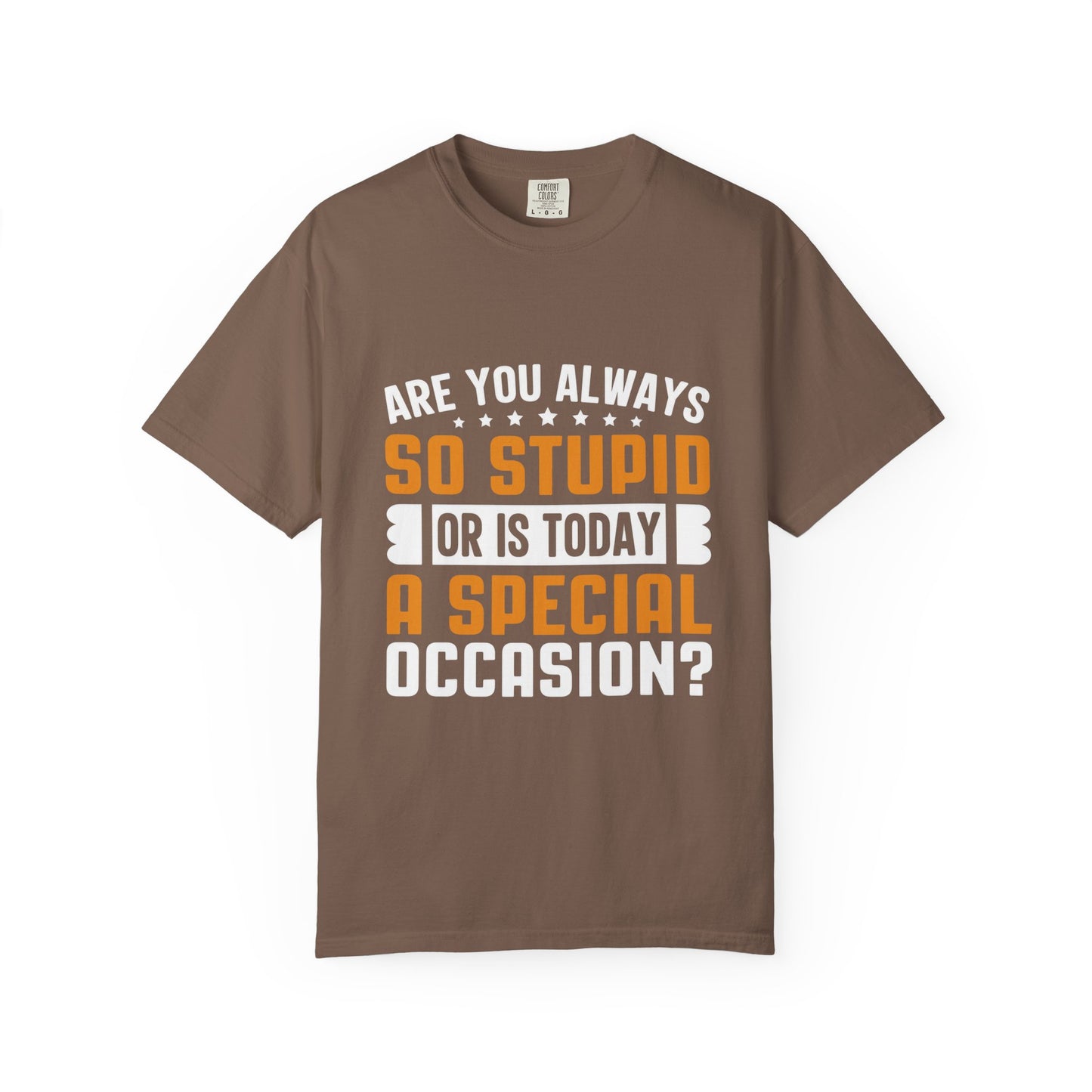 Sarcastic Unisex T-Shirt – "Are You Always So Stupid or Is Today a Special Occasion?"