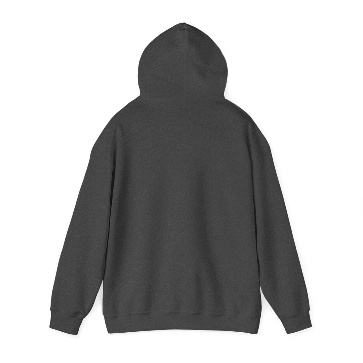 Hiking Is Always A Good Idea Unisex Heavy Blend™ Hooded Sweatshirt