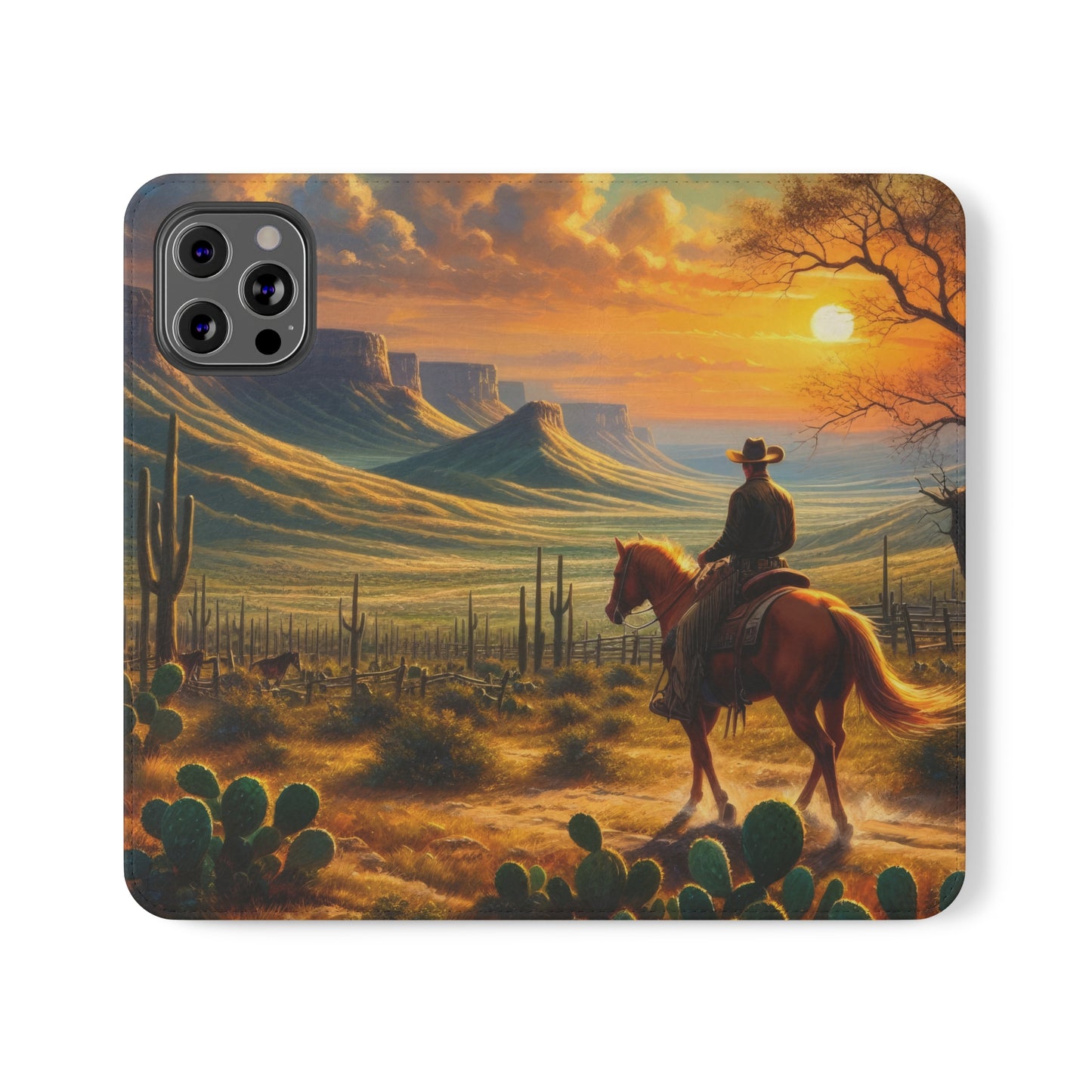 Texas Sunset Flip Cases