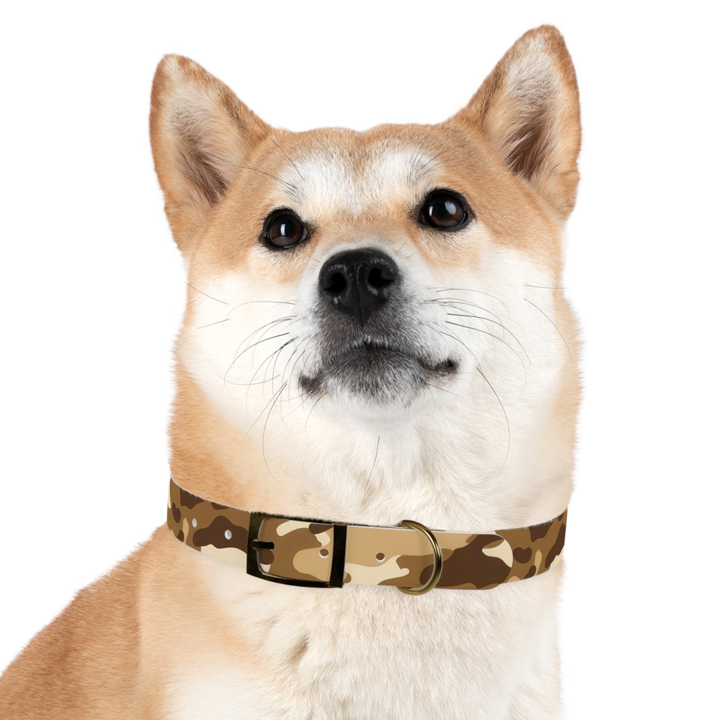 Sandstorm Dog Collar