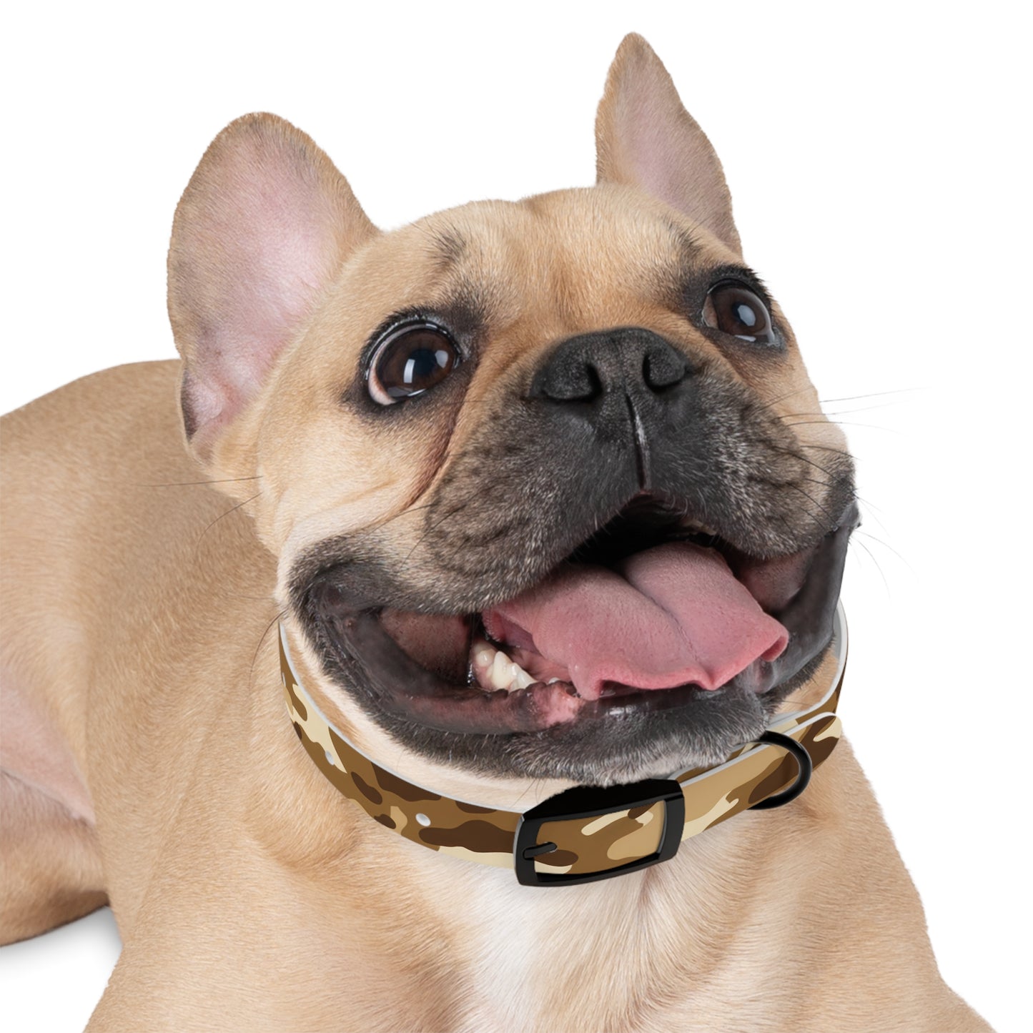 Sandstorm Dog Collar