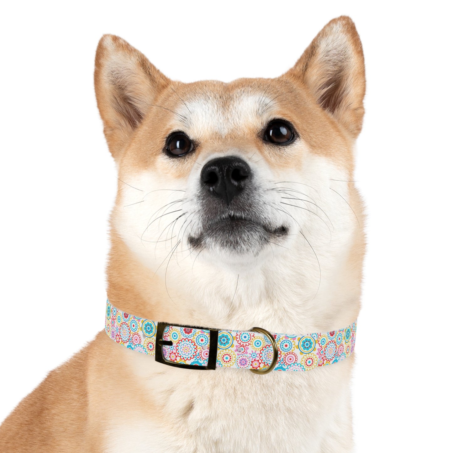 Flower Pop Dog Collar