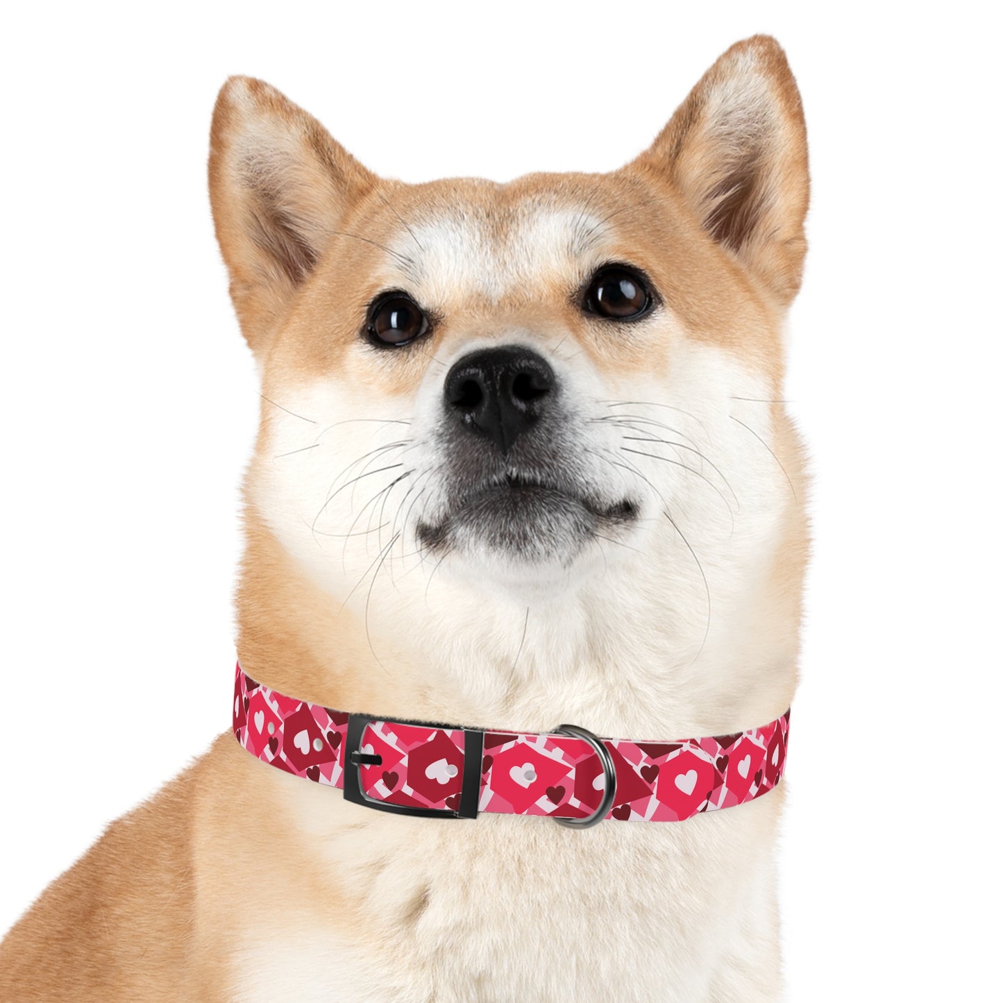 Love in Style Dog Collar