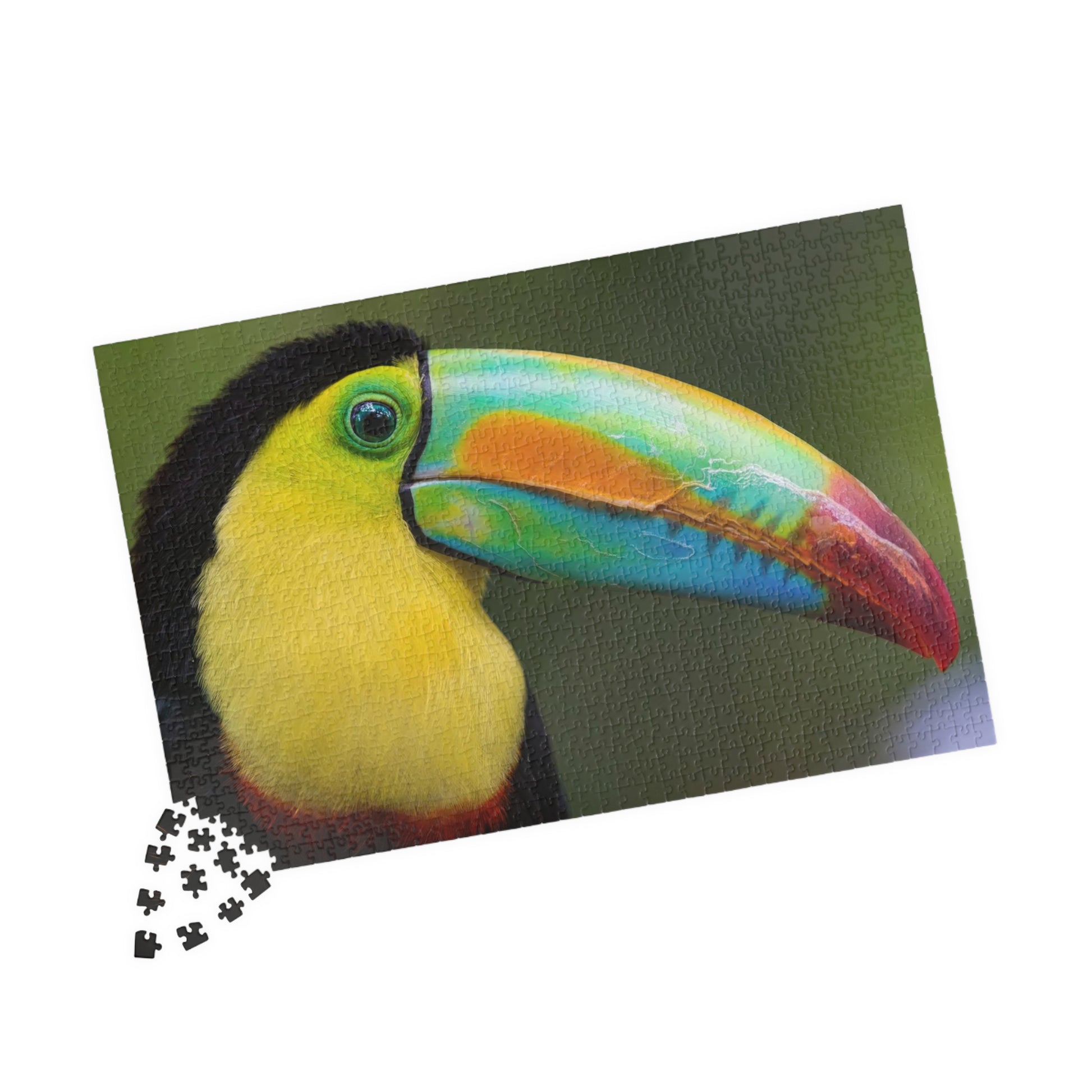 Beak & Beauty: The Toucan Puzzle, 1014 pcs