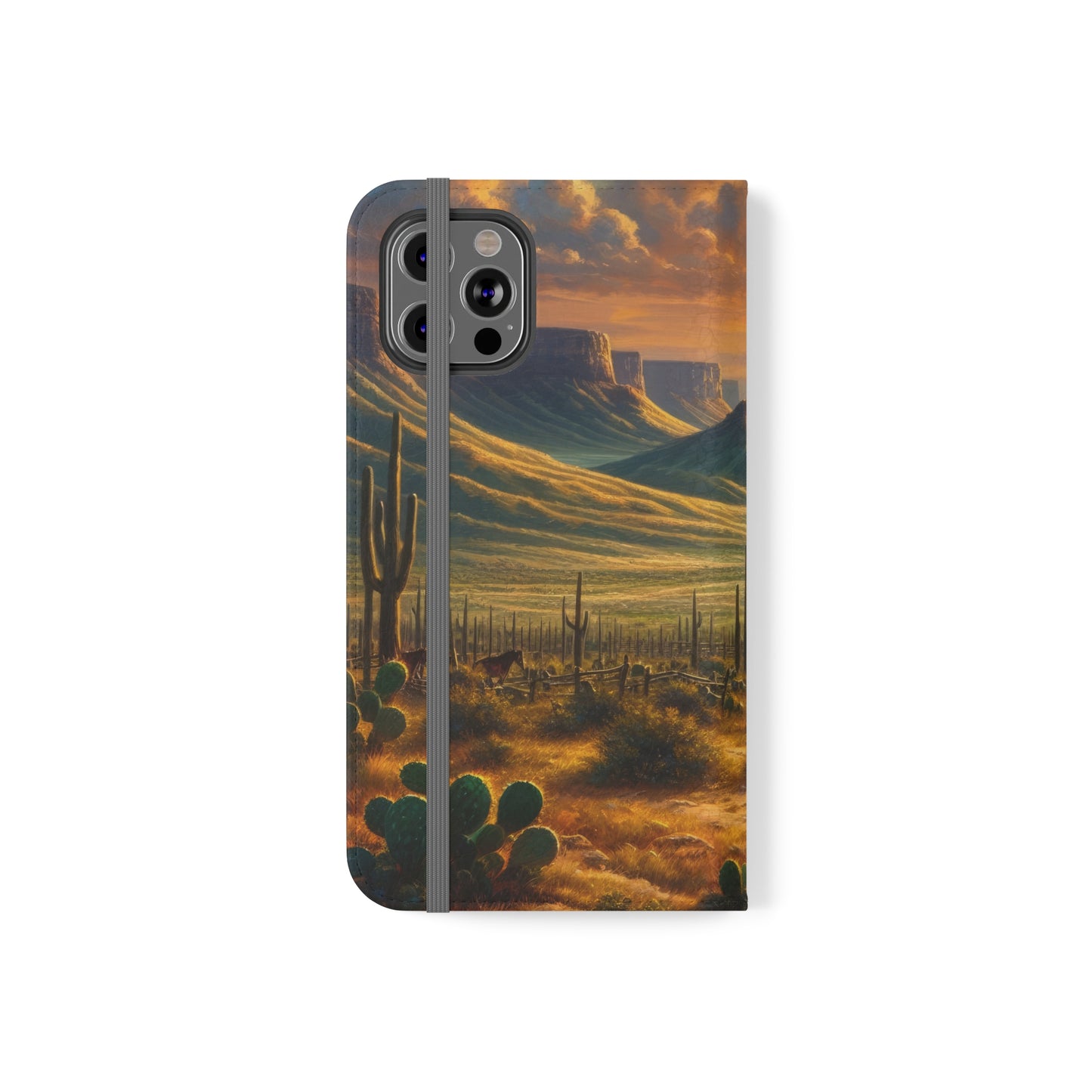 Texas Sunset Flip Cases