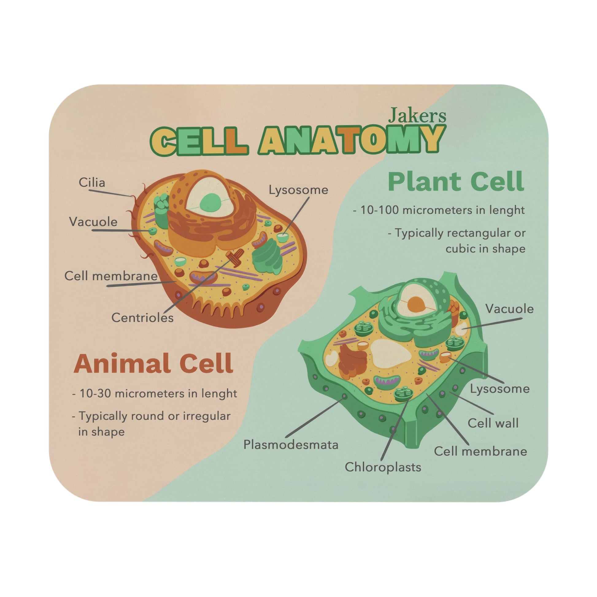 Educational Mouse Pad, Animal Cell vs Plant Cell Anatomy