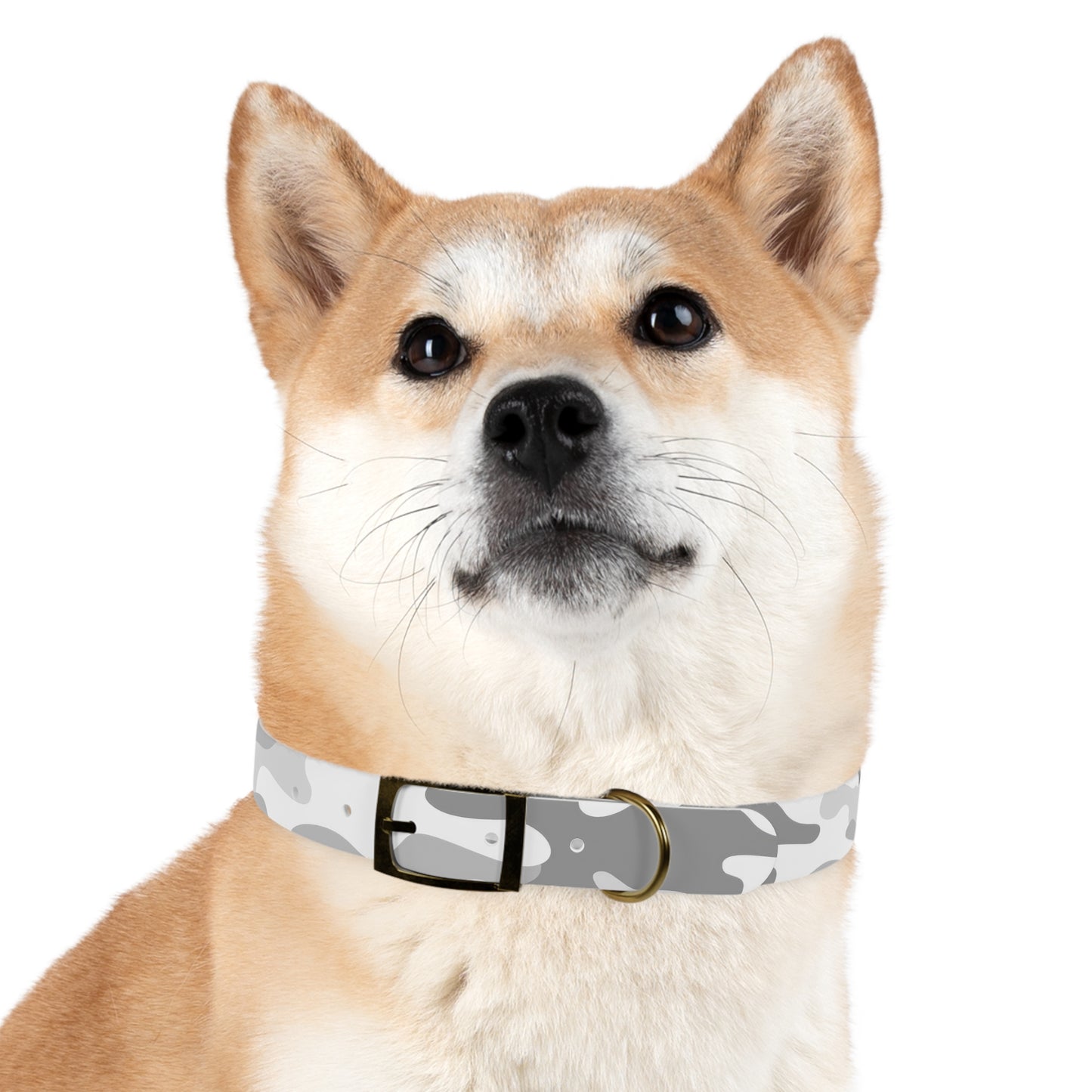 Snow Shadow Dog Collar