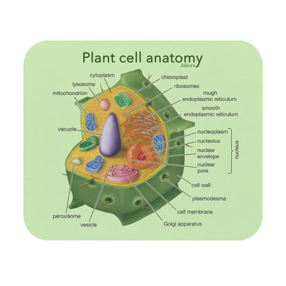 Plant Cell Anatomy Mouse Pad, Educational School Supply