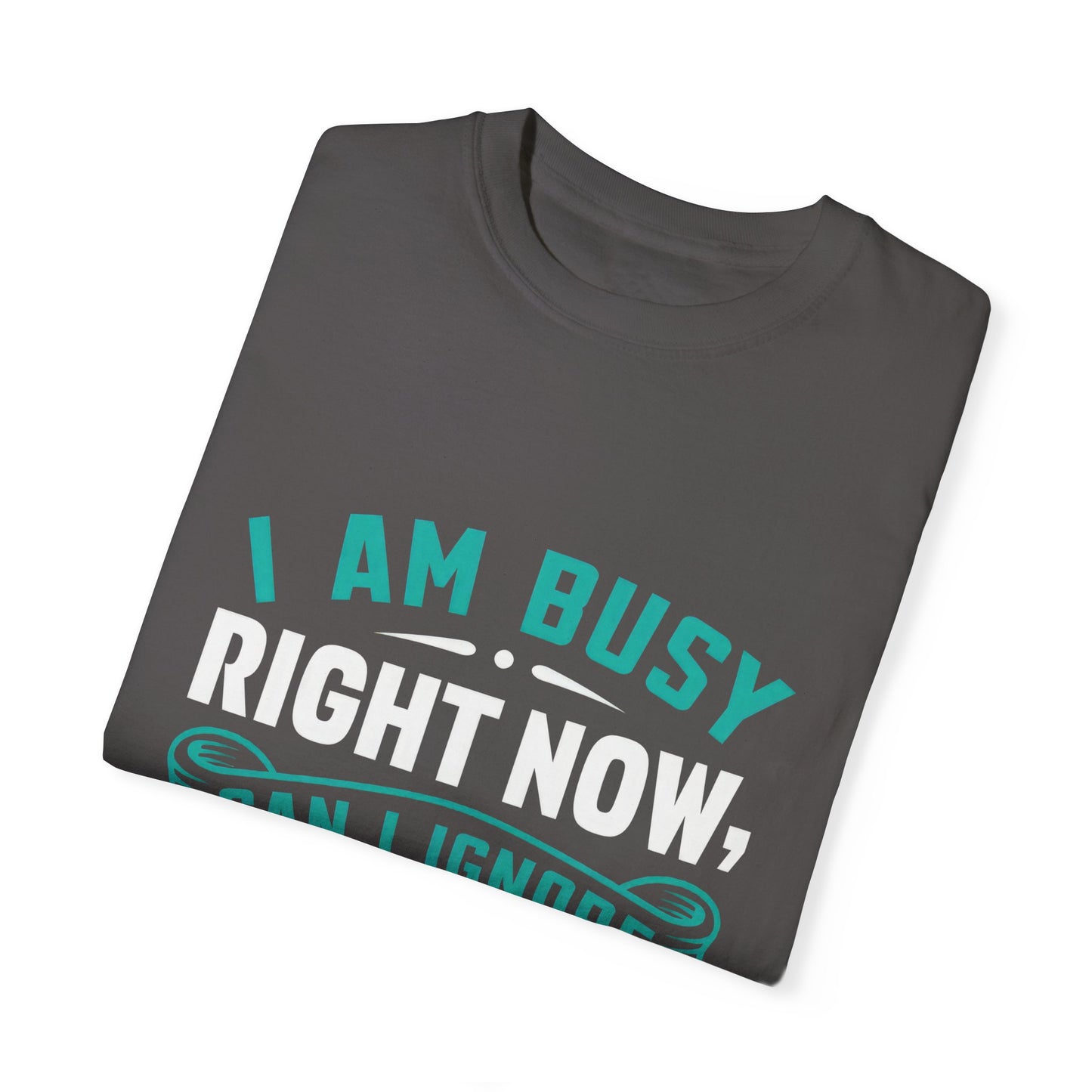Funny Unisex T-Shirt - 'I Am Busy Right Now, Can I Ignore You Some Other Time?'