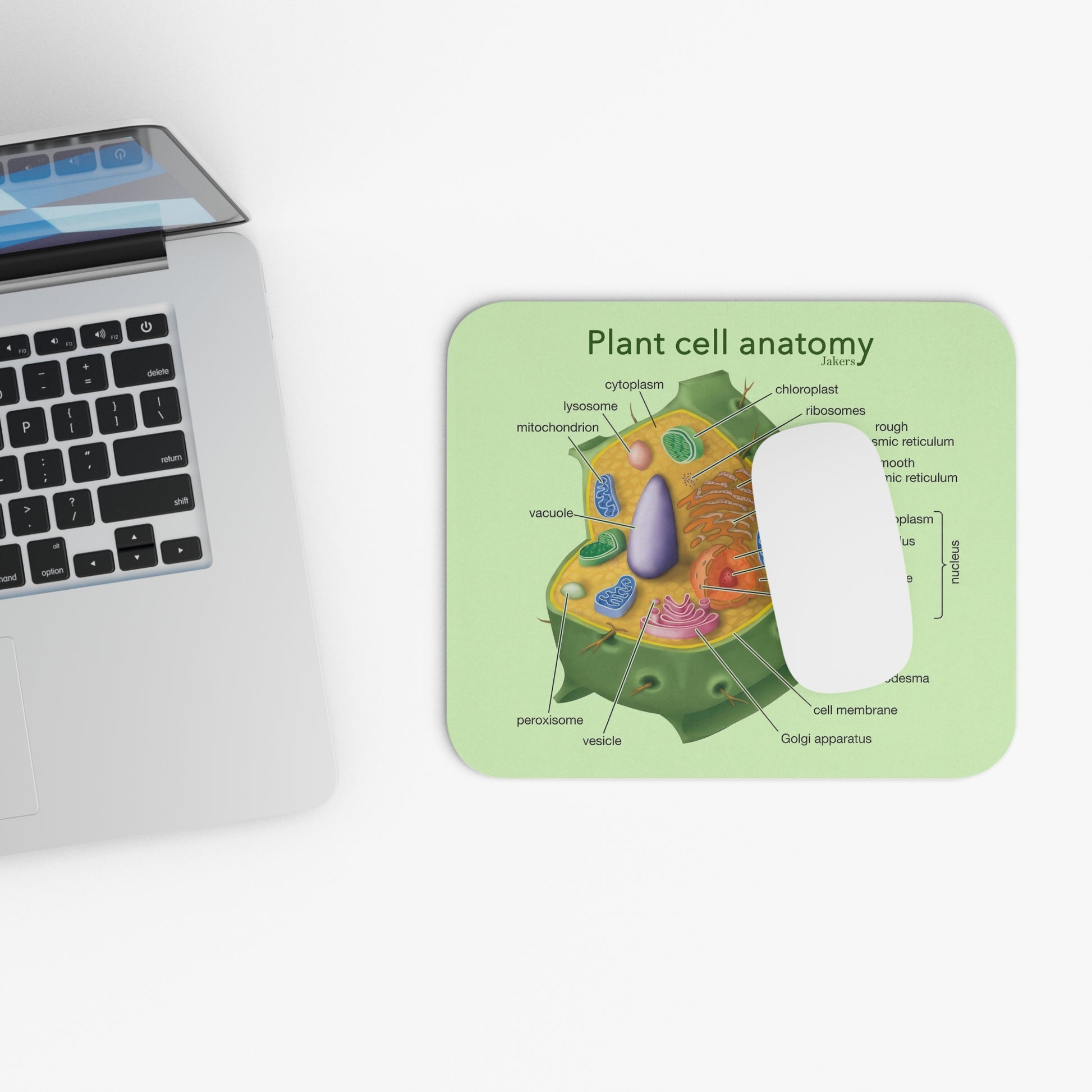 Plant Cell Anatomy Mouse Pad, Educational School Supply