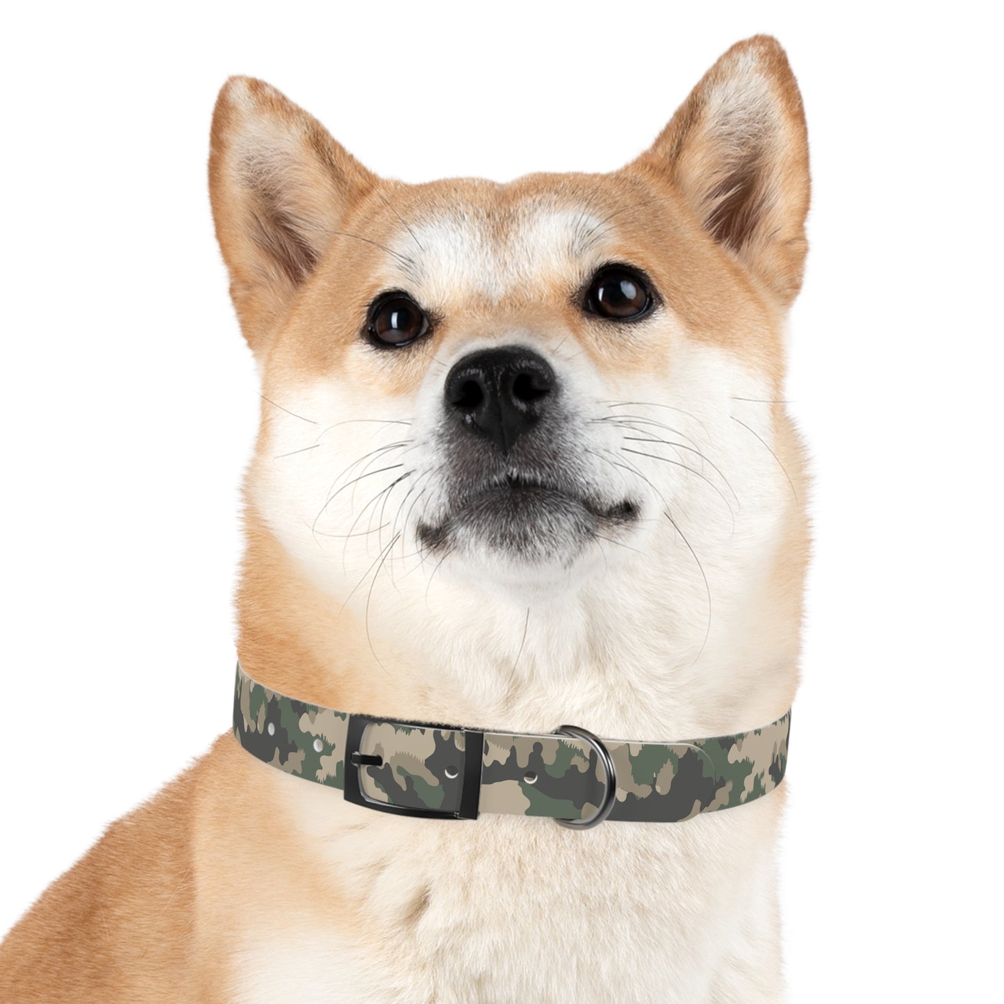 Outdoor Explorer Dog Collar