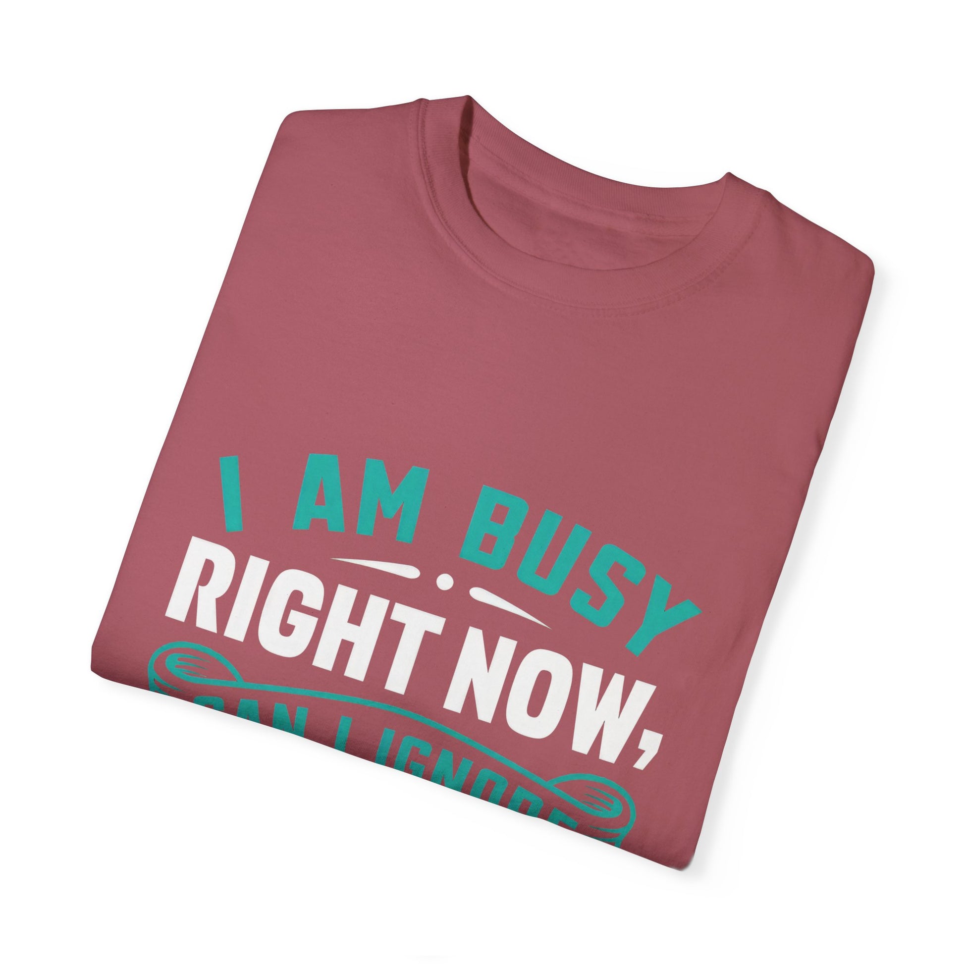 Funny Unisex T-Shirt - 'I Am Busy Right Now, Can I Ignore You Some Other Time?'