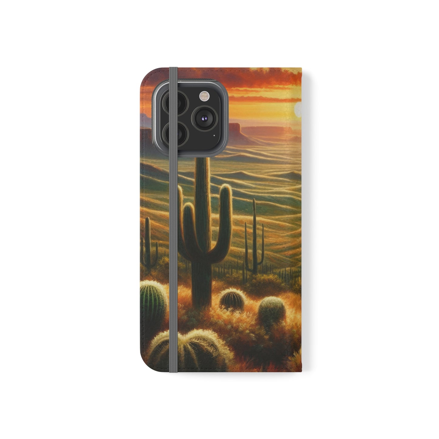 Sundown in Texas Flip Cases