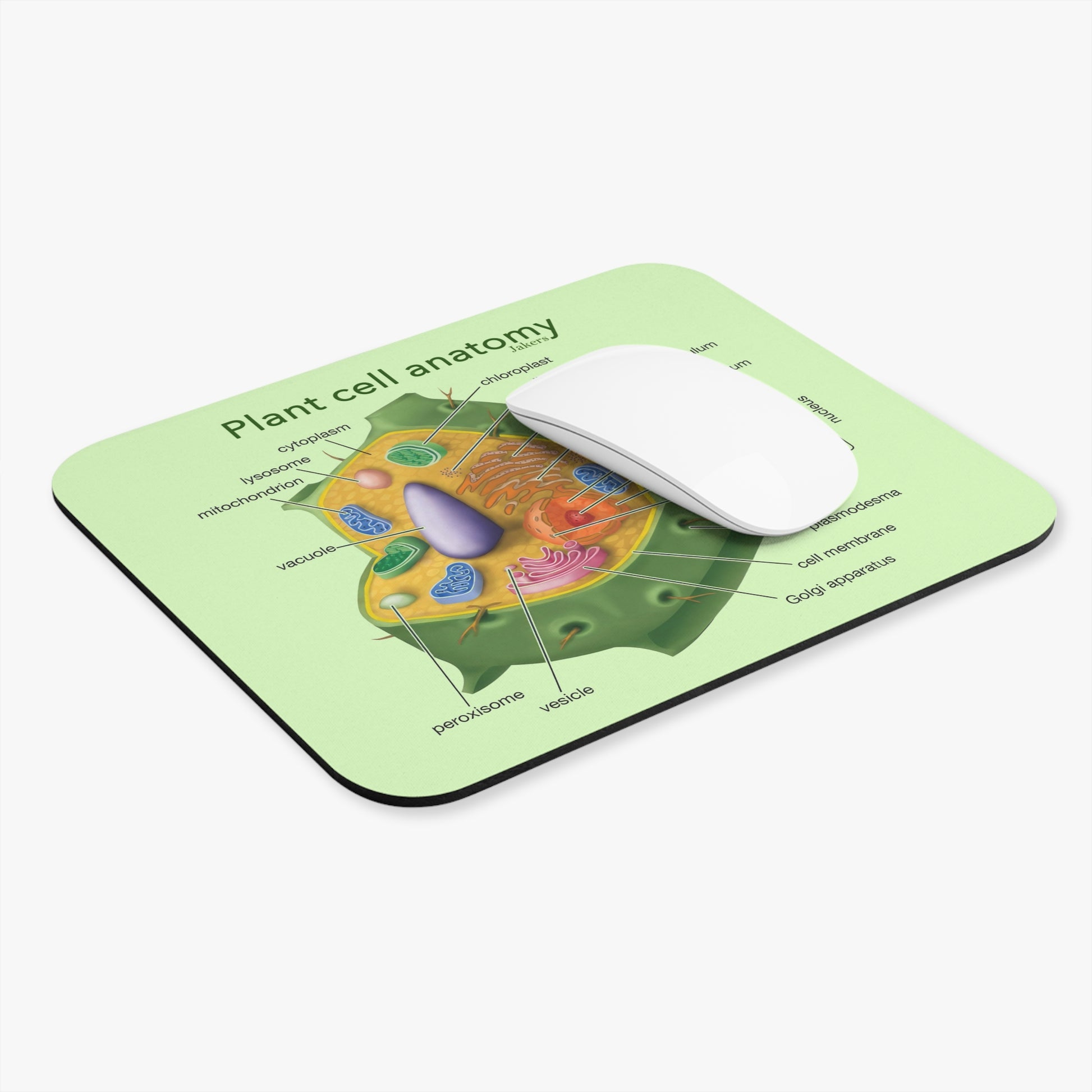 Plant Cell Anatomy Mouse Pad, Educational School Supply