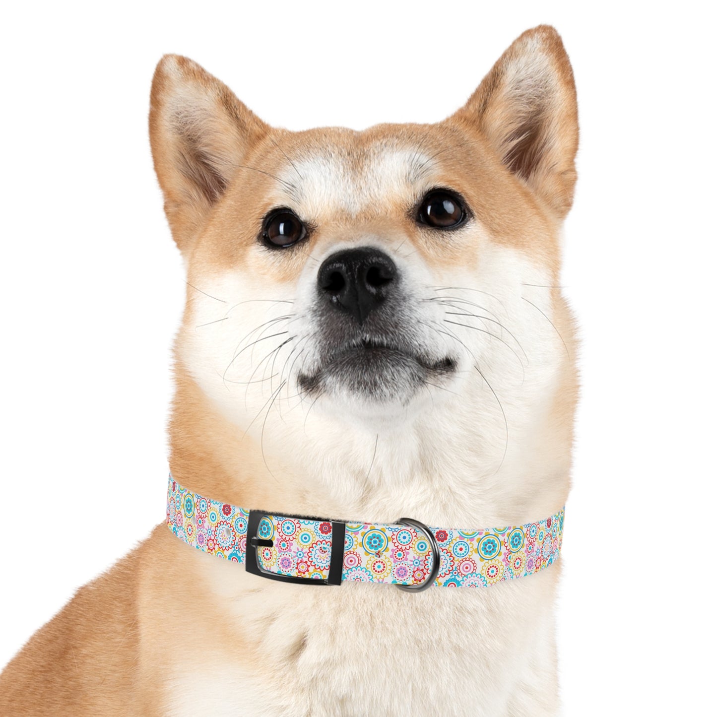 Flower Pop Dog Collar