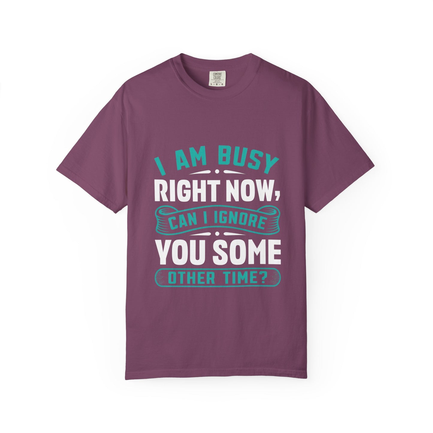Sarcastic Unisex T-Shirt - 'I Am Busy Right Now, Can I Ignore You Some Other Time?'