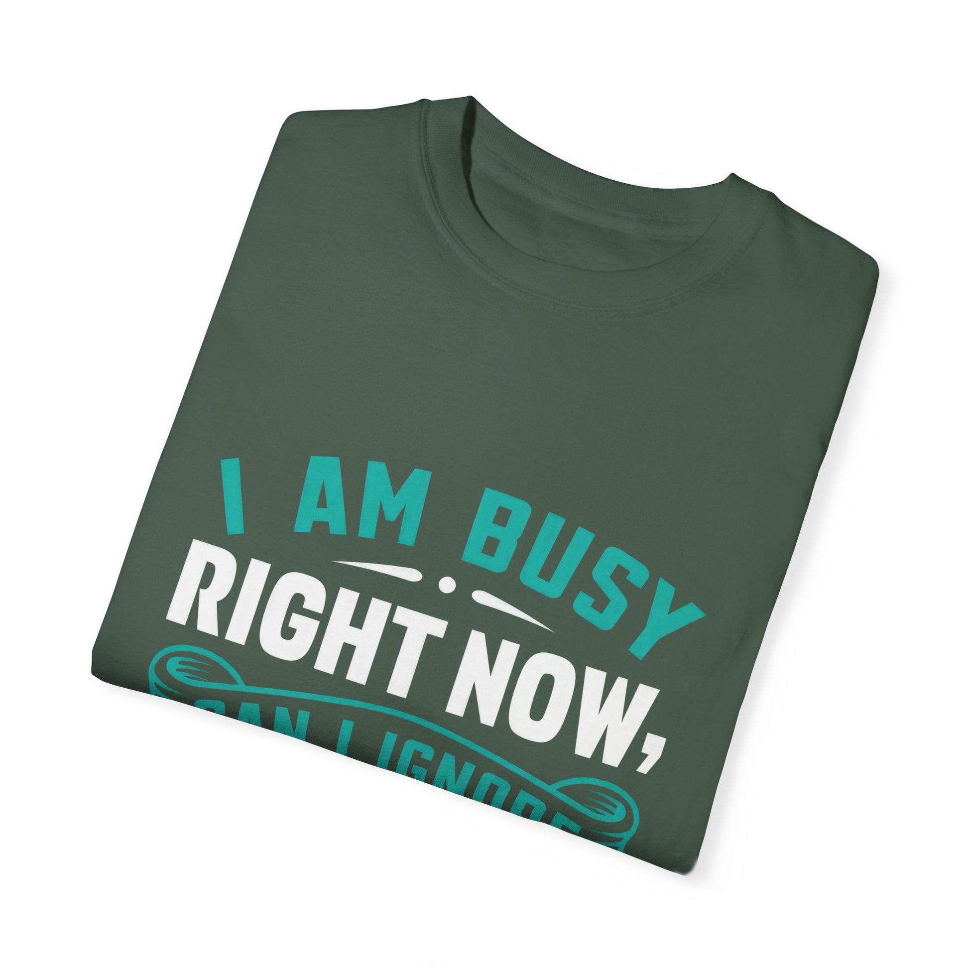 Funny Unisex T-Shirt - 'I Am Busy Right Now, Can I Ignore You Some Other Time?'