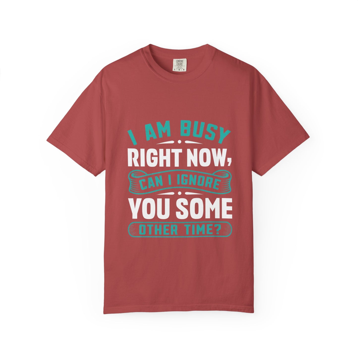 Sarcastic Unisex T-Shirt - 'I Am Busy Right Now, Can I Ignore You Some Other Time?'